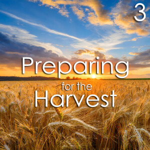 Preparing for the Harvest - 3