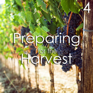 Preparing for the Harvest - 4