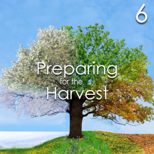 Preparing for the Harvest - 6