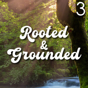 Rooted & Grounded - 3