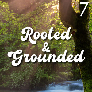 Rooted & Grounded - 7