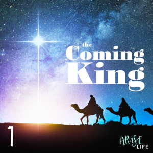 The Coming King 1.0 - Genesis 3