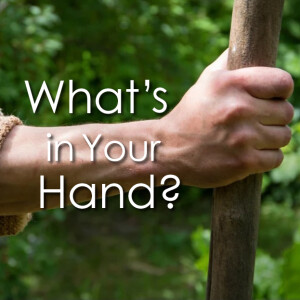 What's in Your Hand?