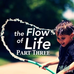 The Flow of Life - Part 3