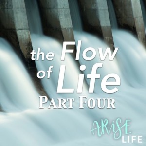 The Flow of Life - Part 4