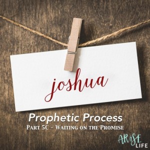 Prophetic Promise 5c - Joshua