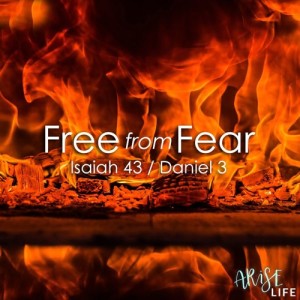 Free from Fear