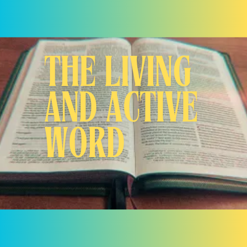 The Springs Calvary Chapel