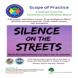 Silence in the Streets: A Public Safety and Public Health Collaboration
