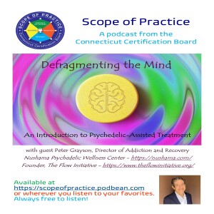 Defragmenting the Mind: An Introduction to Psychedelic Assisted Treatment