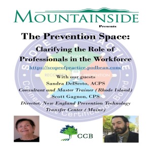 The Prevention Space: Clarifying the Role of Professionals in the Workforce