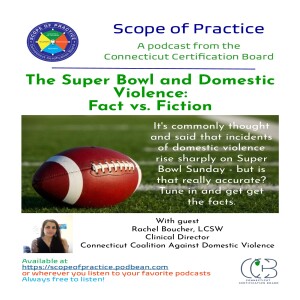 The Super Bowl and Domestic Violence: Facts vs. Fiction