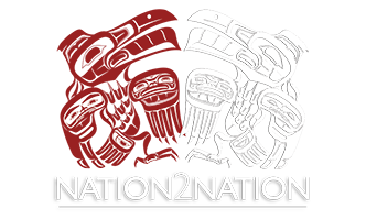 Lisa Mueller - Founder and Creator of Nation2Nation Events
