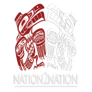 Lisa Mueller - Founder and Creator of Nation2Nation Events