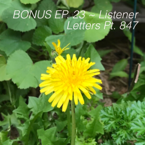 BONUS EP. 23 ~ Listener Letters Pt. 847