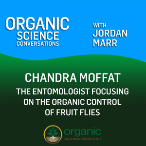 The entomologist focusing on the organic control of fruit flies