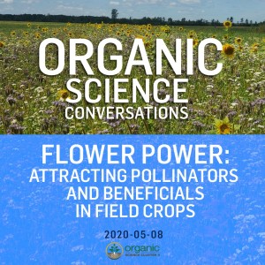 Flower Power: Attracting Pollinators and Beneficials in Field Crops  [11:58]