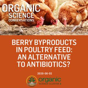 Berry byproducts in poultry feed: an alternative to antibiotics? [20:40]