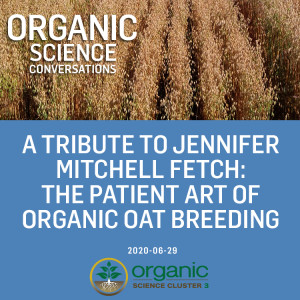 A tribute to Jennifer Mitchell Fetch: the patient art of organic oat breeding [17:53]