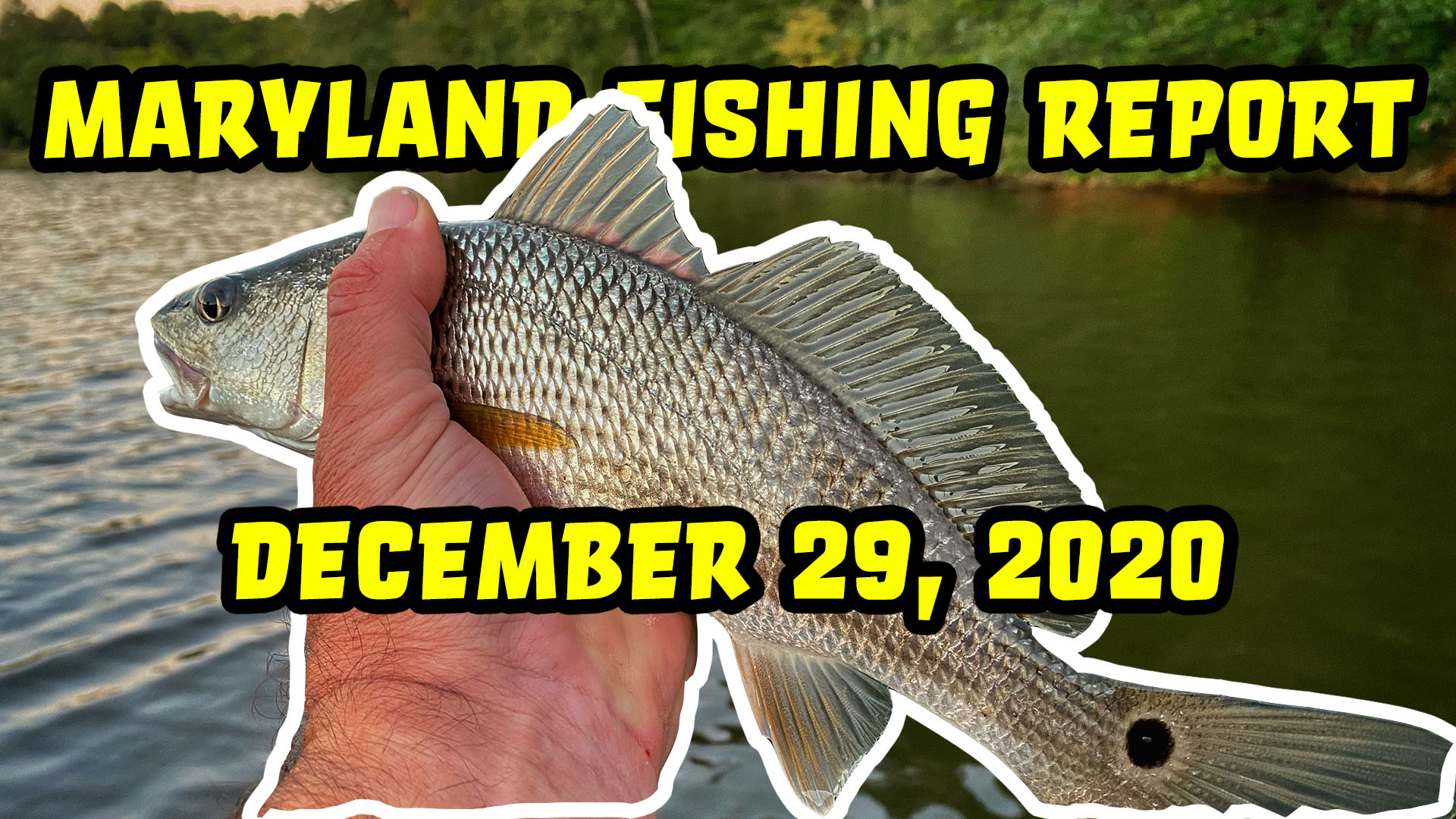 Maryland Fishing Line - Production of Chesapeake Angler Magazine