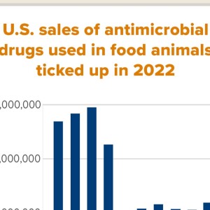 Antimicrobial sales for food animals rise in US, fall in Europe