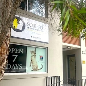 Veterinary consolidator CVS expands further in Australia