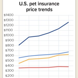 Pet insurance in the US: a 'failure'?