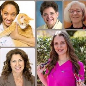 Female veterinarians in leadership: how much progress?