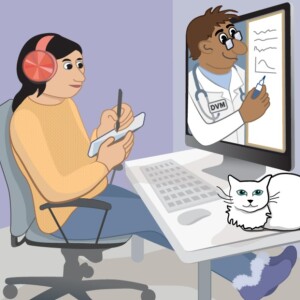 Remote teaching in US veterinary schools: Comments invited