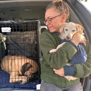 Pet owners turn to veterinary tourism as costs rise at home