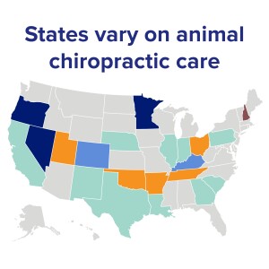 State animal chiropractic bills net mixed results