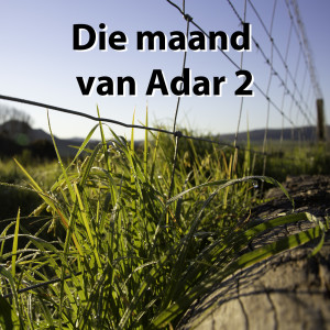 Die maand van Adar2 2022