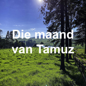 Die maand van Tamuz