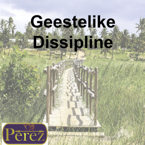 Hoe oefen ons geestelike dissipline?