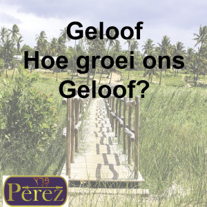 Geloof, Hoe groei ons geloof?