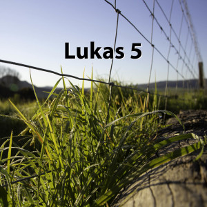 Lukas 5