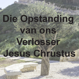 Die Opstandings Boodskap, die opstandings krag, die blydskap in die oorwinning oor die wêreld 12/04/2020