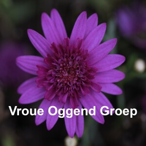 Vroue Oggend Groep - 27/07/2023