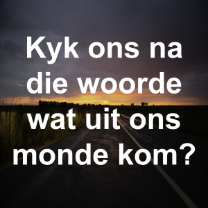 Kyk ons na die woorde wat uit ons mond kom?