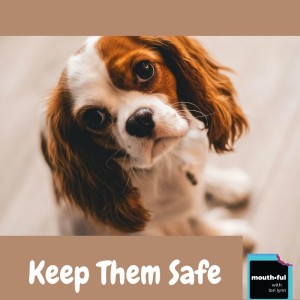 Keep Your Pets Safe - Stay At Home Edition