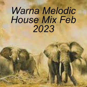 44. Warna Melodic House Feb Mix
