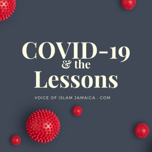 COVID-19 and the Lessons