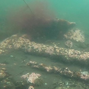 Diver discovers suspected wreckage of Halifax Explosion