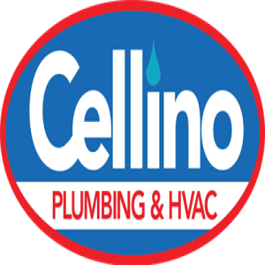 Unplugging the Toilet Paper - Luke Cellino discusses plumbing during the Corona Crisis