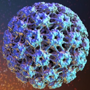 Vaccine Hesitancy and the HPV Vaccine in Texas