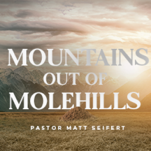 Mountains out of Molehills - Matt Seifert