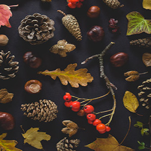 Thankful - Javin Van Kaam