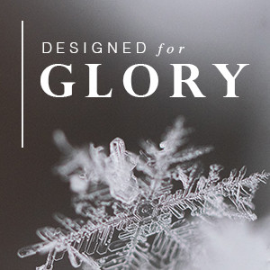 DESIGNED FOR GLORY 2: A Posture Like Jesus (2/09/20)