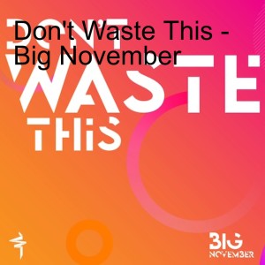 Don‘t Waste This - Big November
