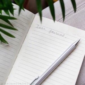 221. The Power of Journaling to Stay Productive